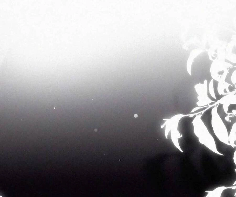 Nghịch Tập Chi Hảo Dựng Nhân Sinh Chapter 326 - 59