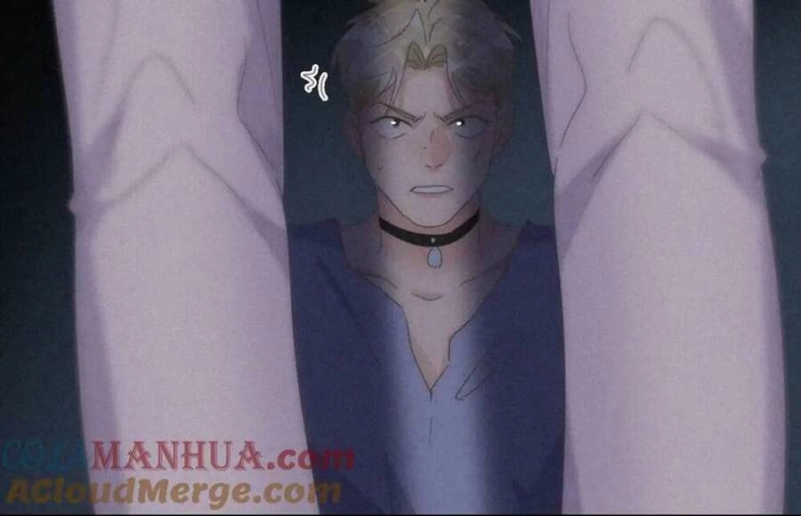 Nghịch Tập Chi Hảo Dựng Nhân Sinh Chapter 327 - 65