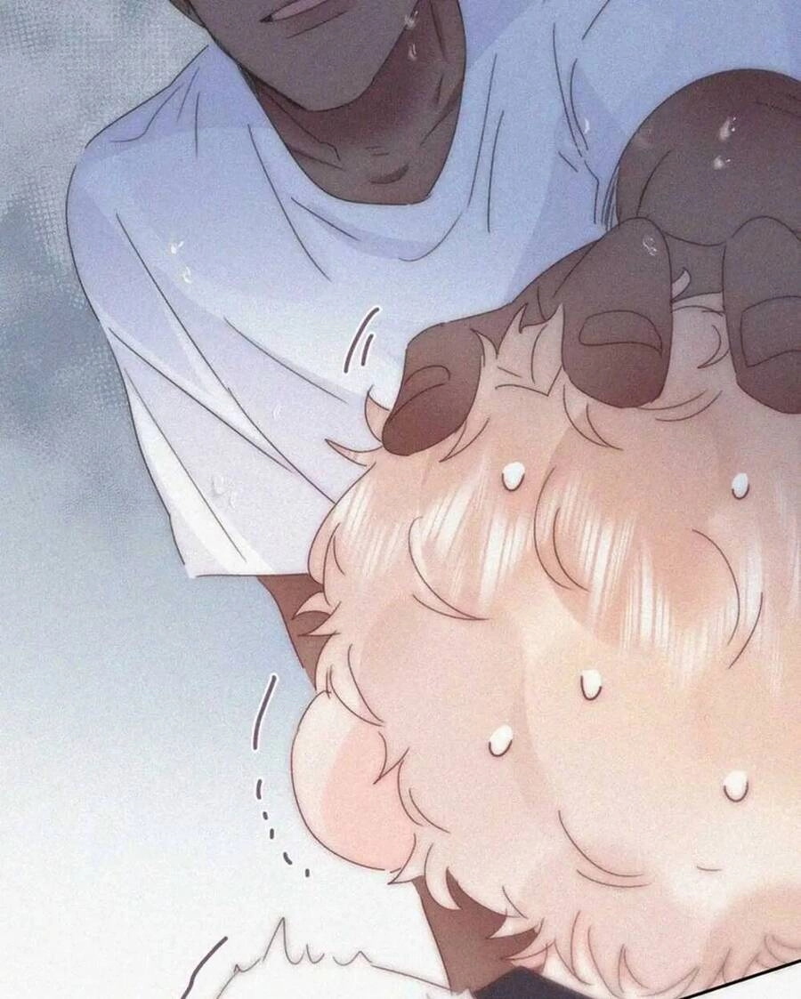 Nghịch Tập Chi Hảo Dựng Nhân Sinh Chapter 334 - 6