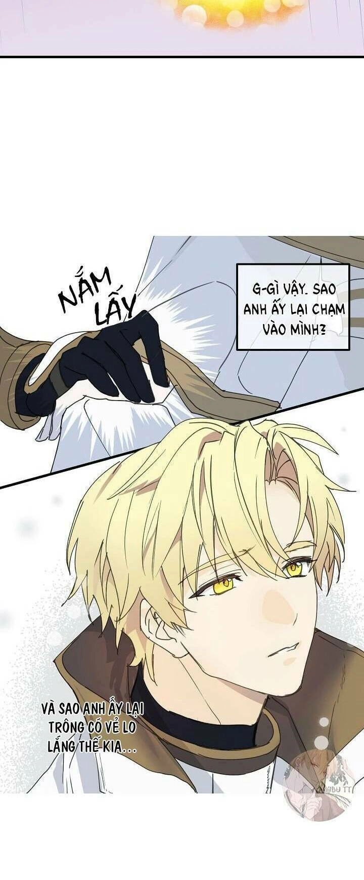 Lời Thú Nhận Nhầm Lẫn Chapter 17 - 3