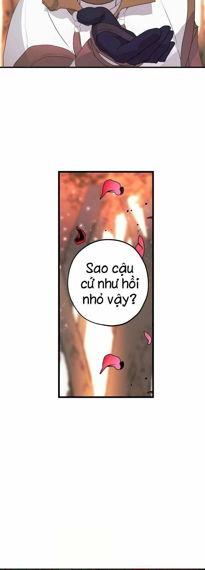 Lời Thú Nhận Nhầm Lẫn Chapter 27 - 40