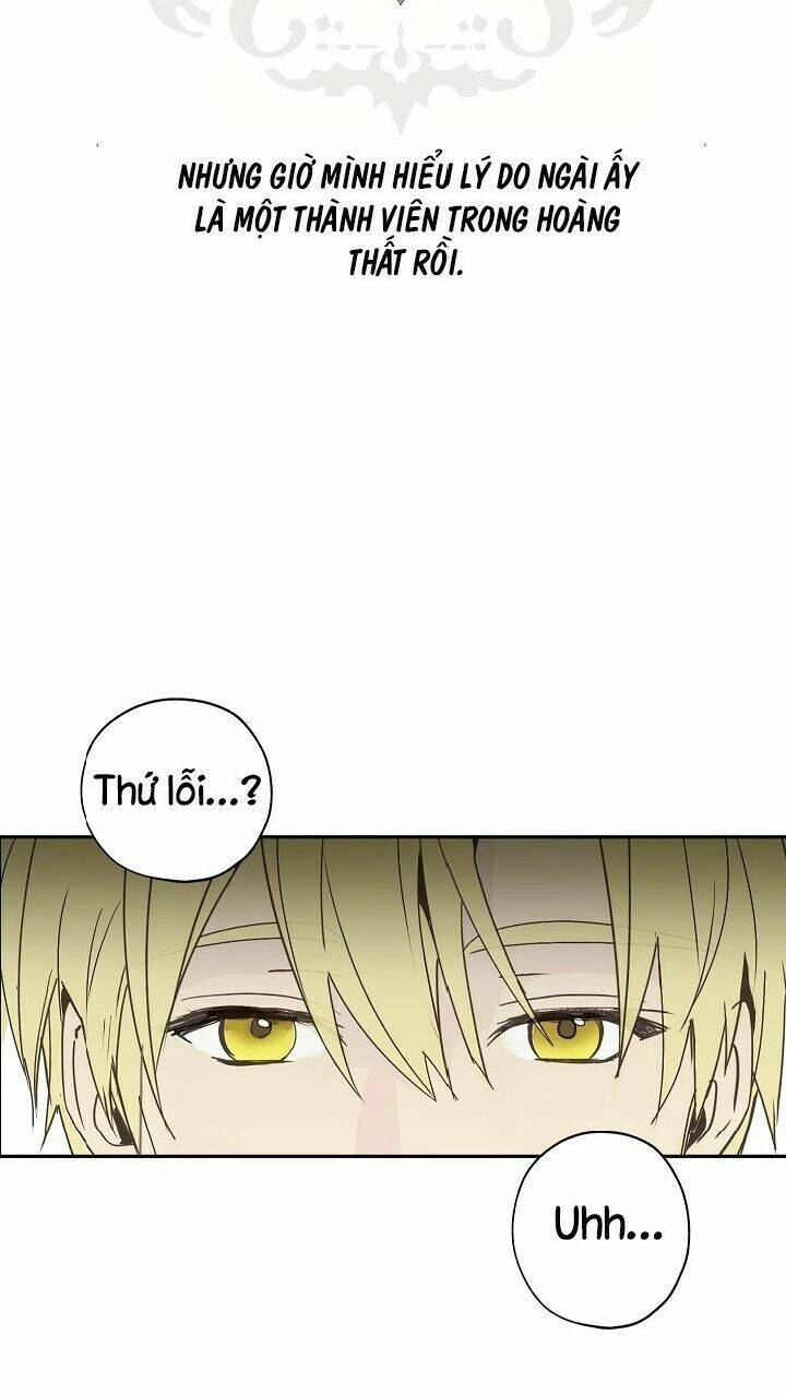 Lời Thú Nhận Nhầm Lẫn Chapter 28 - 44