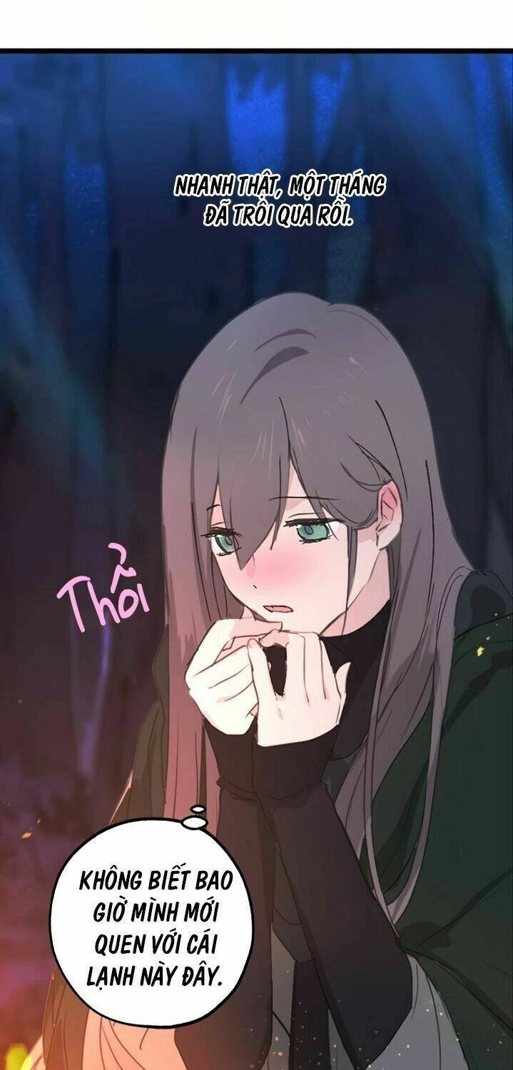 Lời Thú Nhận Nhầm Lẫn Chapter 29 - 15