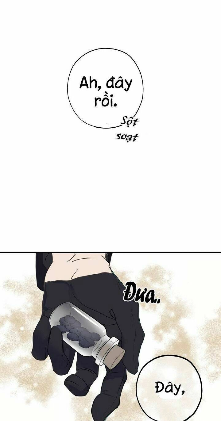 Lời Thú Nhận Nhầm Lẫn Chapter 29 - 36