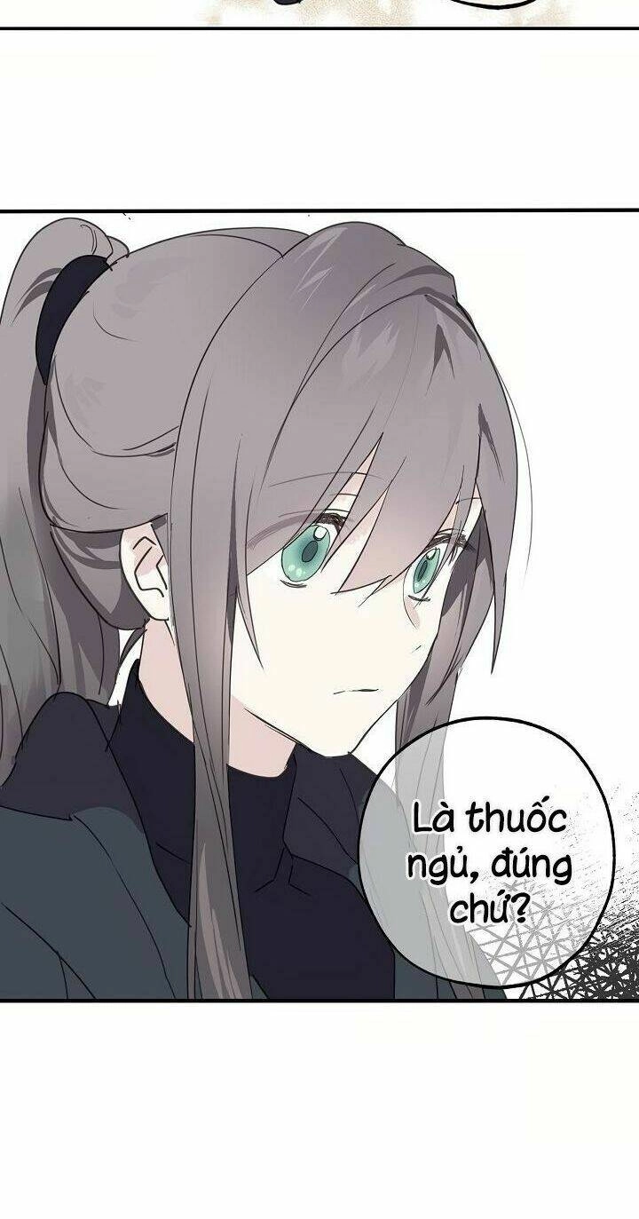 Lời Thú Nhận Nhầm Lẫn Chapter 29 - 37