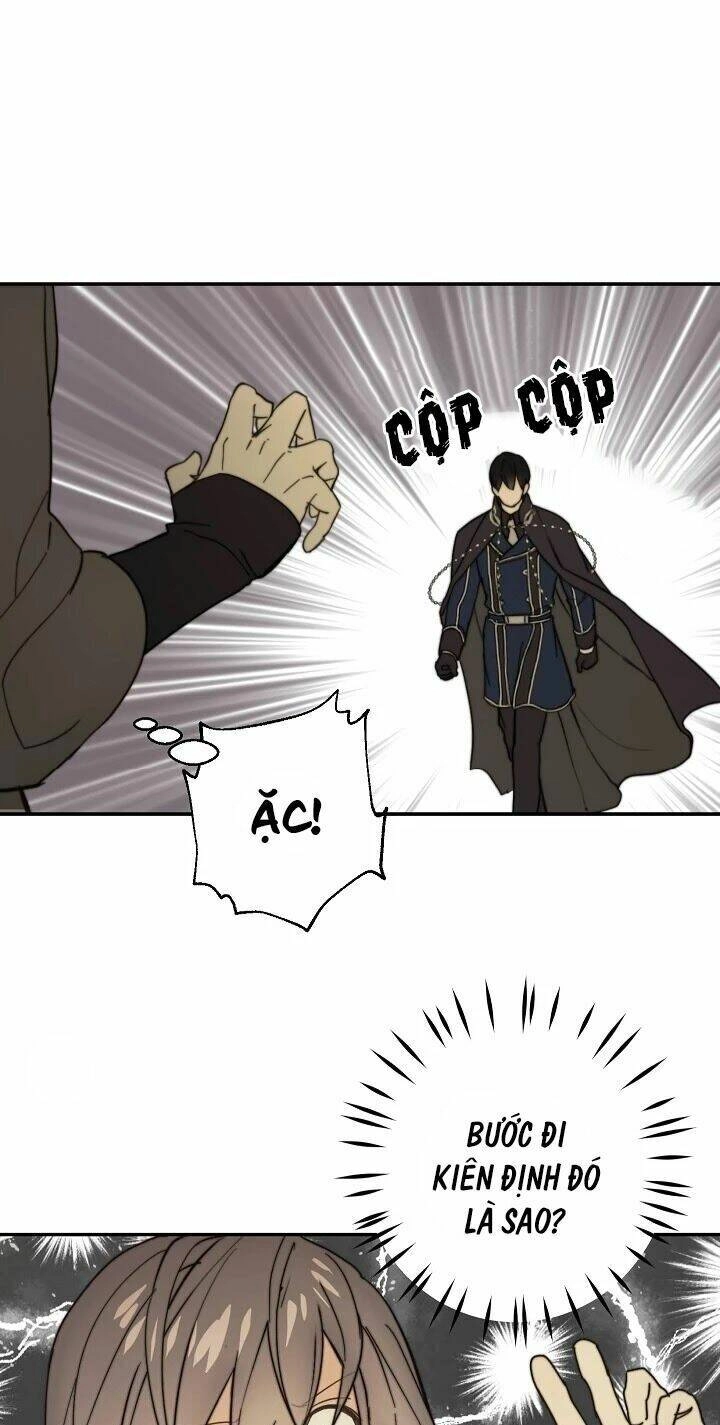 Lời Thú Nhận Nhầm Lẫn Chapter 40 - 44