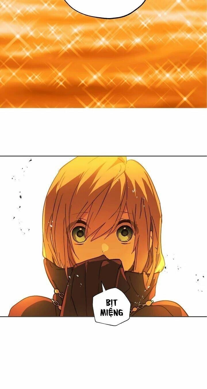 Lời Thú Nhận Nhầm Lẫn Chapter 41 - 15