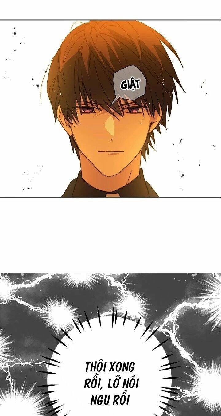 Lời Thú Nhận Nhầm Lẫn Chapter 41 - 16