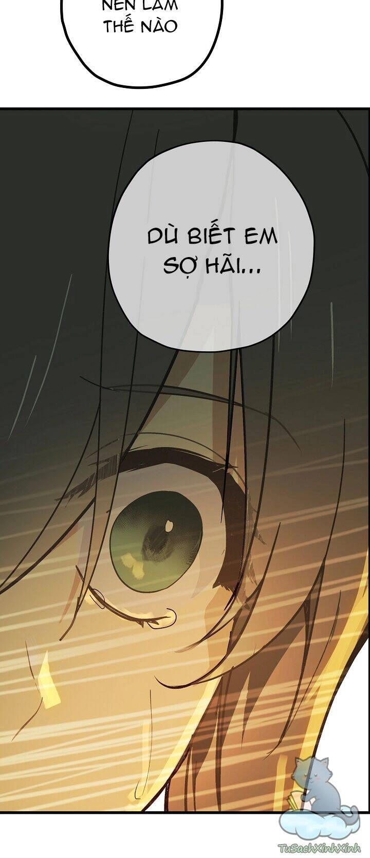 Lời Thú Nhận Nhầm Lẫn Chapter 54 - 66