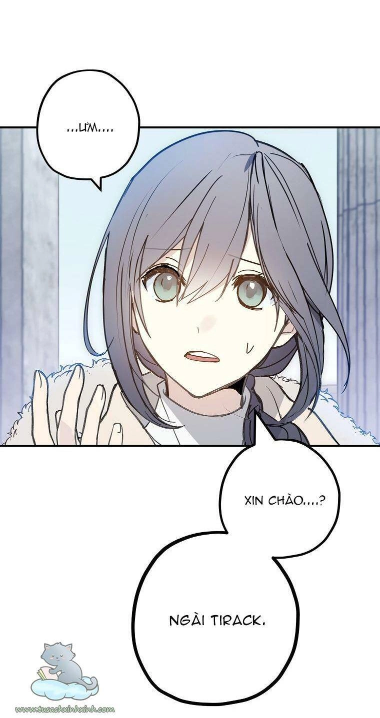 Lời Thú Nhận Nhầm Lẫn Chapter 55 - 38