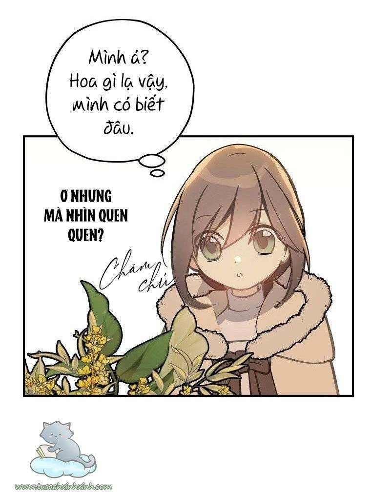 Lời Thú Nhận Nhầm Lẫn Chapter 56 - 28