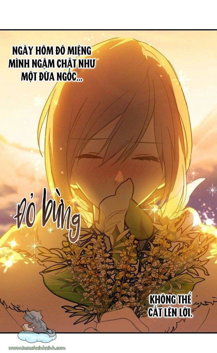 Lời Thú Nhận Nhầm Lẫn Chapter 56 - 43