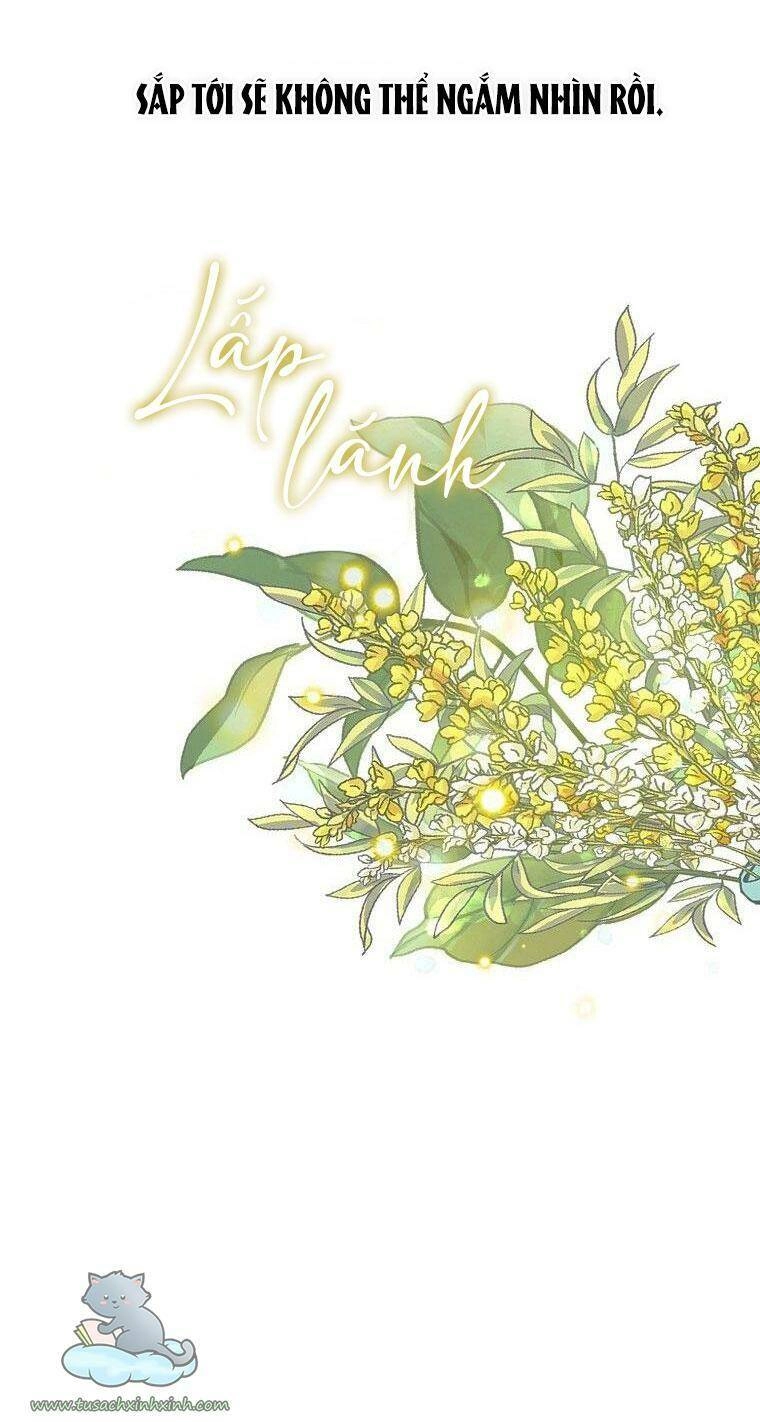 Lời Thú Nhận Nhầm Lẫn Chapter 56 - 48