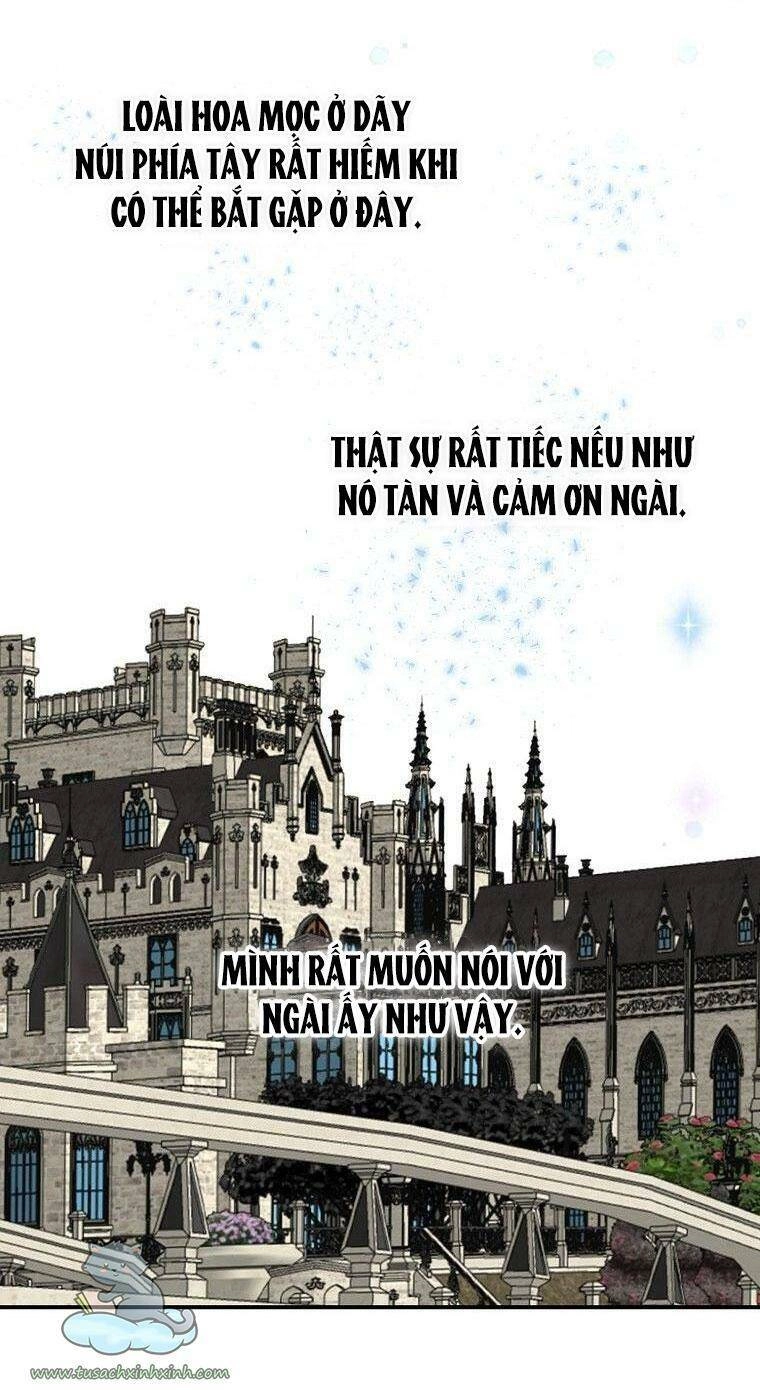 Lời Thú Nhận Nhầm Lẫn Chapter 56 - 70