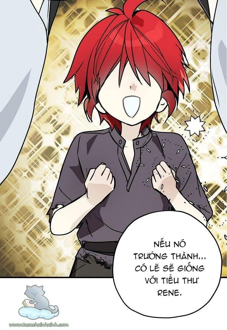 Lời Thú Nhận Nhầm Lẫn Chapter 60 - 90