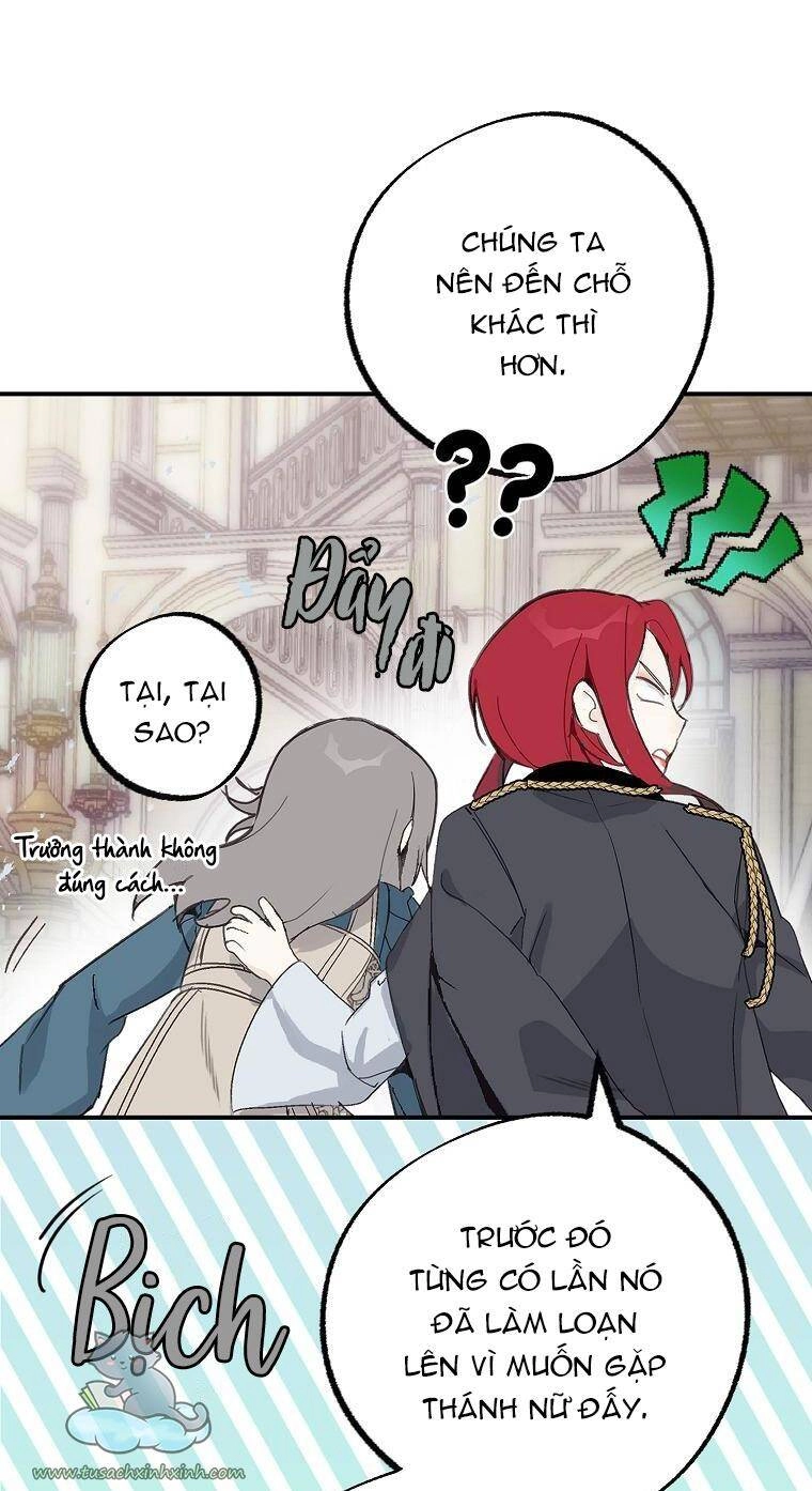 Lời Thú Nhận Nhầm Lẫn Chapter 61 - 7