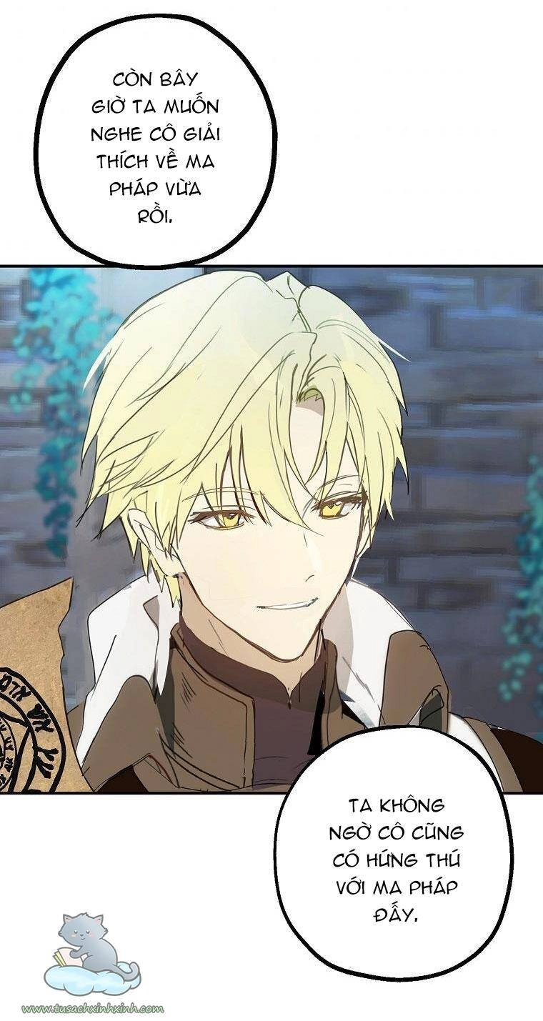 Lời Thú Nhận Nhầm Lẫn Chapter 61 - 64