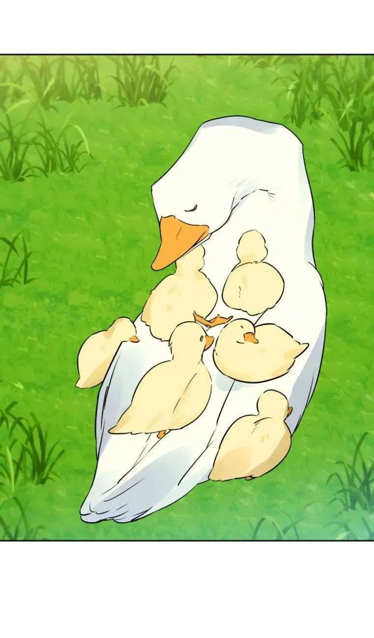 Chàng Ryan Của Em Chapter 25 - 24