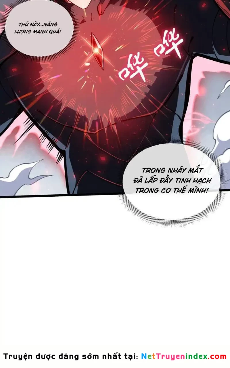 Tai Ách Giáng Lâm: Ta Tiến Hóa Thành Tinh Hồng Chi Vương Chapter 15 - 86