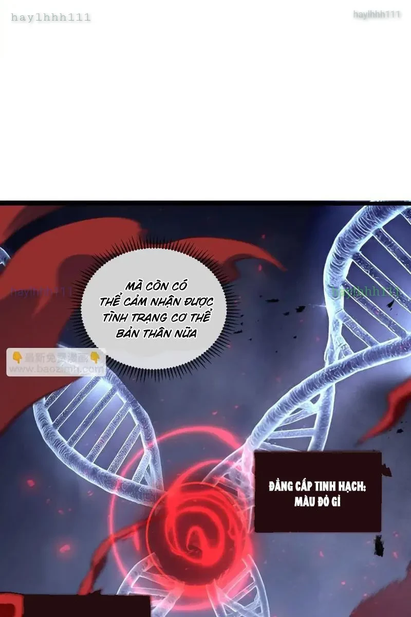 Tai Ách Giáng Lâm: Ta Tiến Hóa Thành Tinh Hồng Chi Vương Chapter 17 - 35