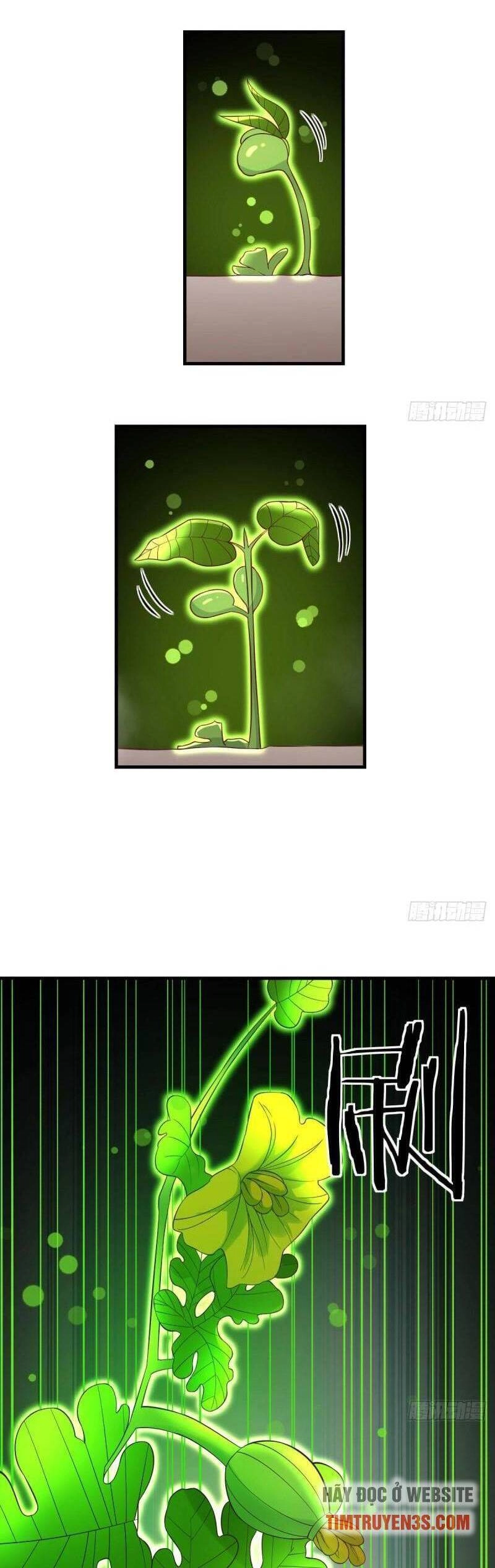 Trước Khi Vô Địch Ta Nợ Tình Quá Nhiều Chapter 44 - 6