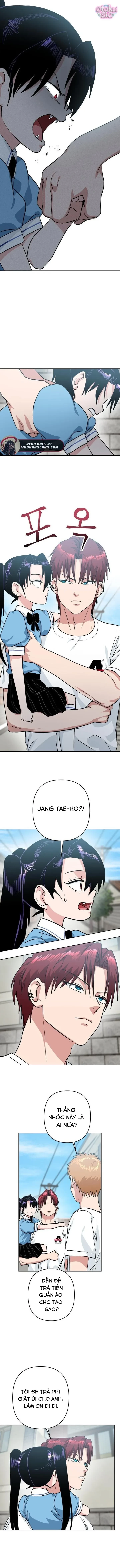 Tên Du Côn Và Tiểu Thư Giang Hồ Chapter 15 - 5