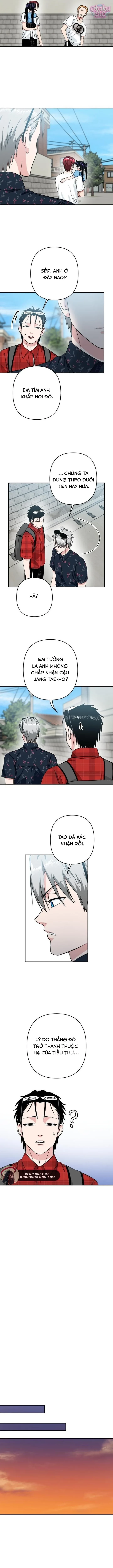 Tên Du Côn Và Tiểu Thư Giang Hồ Chapter 15 - 7