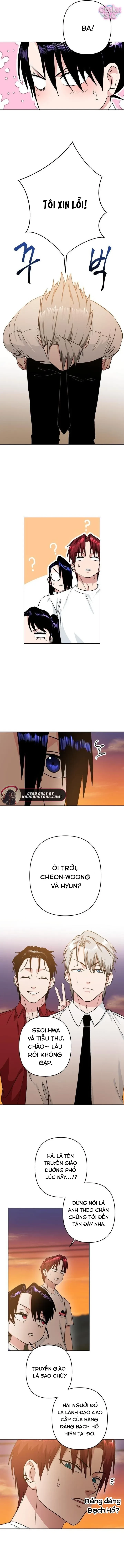 Tên Du Côn Và Tiểu Thư Giang Hồ Chapter 15 - 9