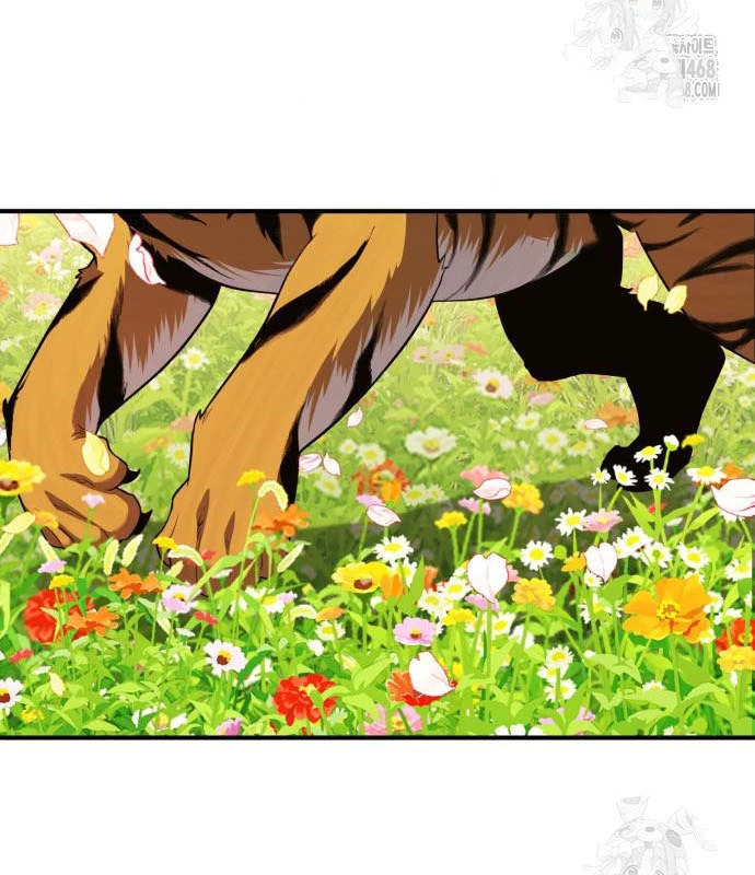 Tiểu Pháp Sư Chapter  11 - 162