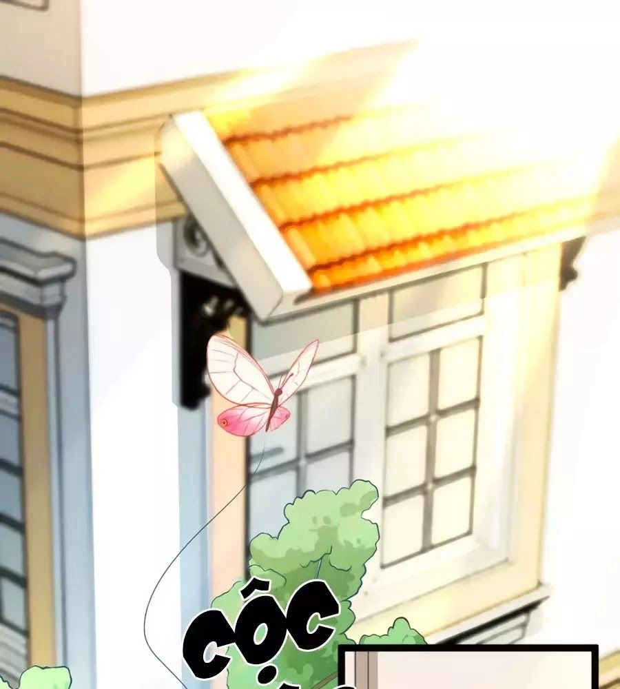 Băng Sơn Tổng Tài Sủng Thê Đến Vô Đạo Chapter 34 - 1