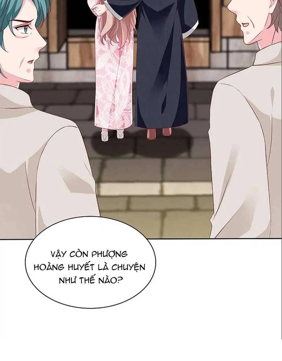 Băng Sơn Tổng Tài Sủng Thê Đến Vô Đạo Chapter 205 - 11