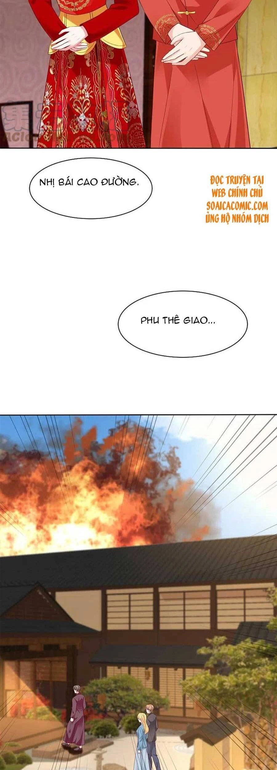 Băng Sơn Tổng Tài Sủng Thê Đến Vô Đạo Chapter 218 - 15