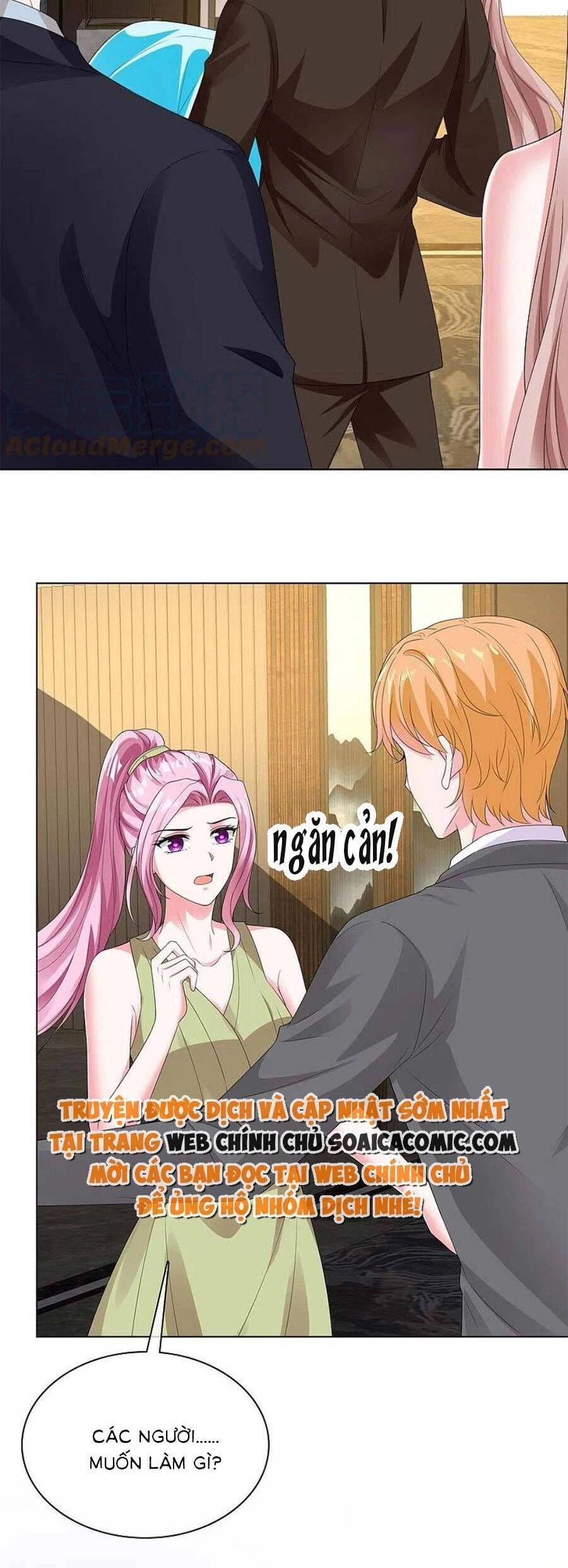 Băng Sơn Tổng Tài Sủng Thê Đến Vô Đạo Chapter 250 - 14