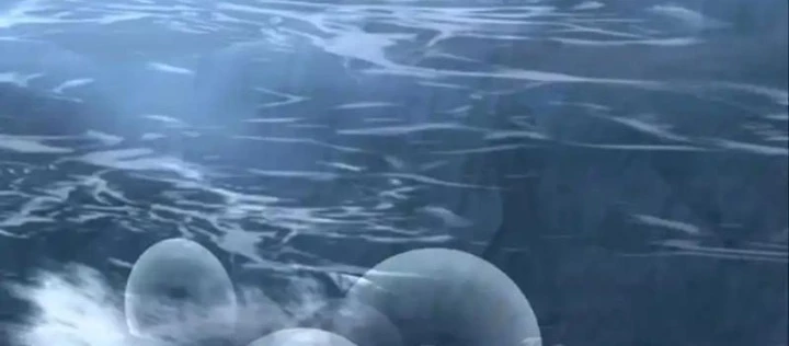 Sư Tỷ, Ta Không Muốn Cố Gắng! Chapter 20 - 32