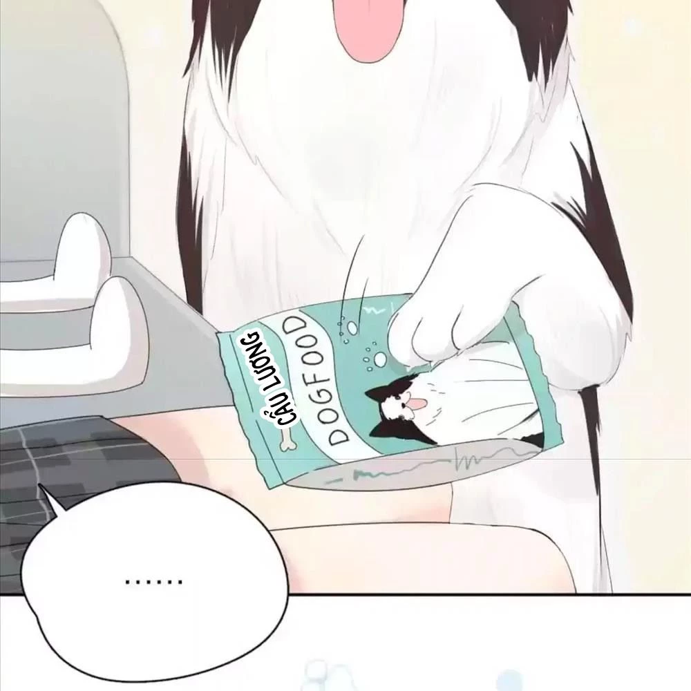 Giờ nay cô ấy cũng rất dễ thương Chapter 73 - 80