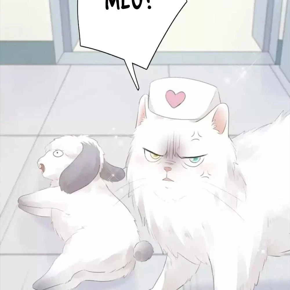 Giờ nay cô ấy cũng rất dễ thương Chapter 87 - 35