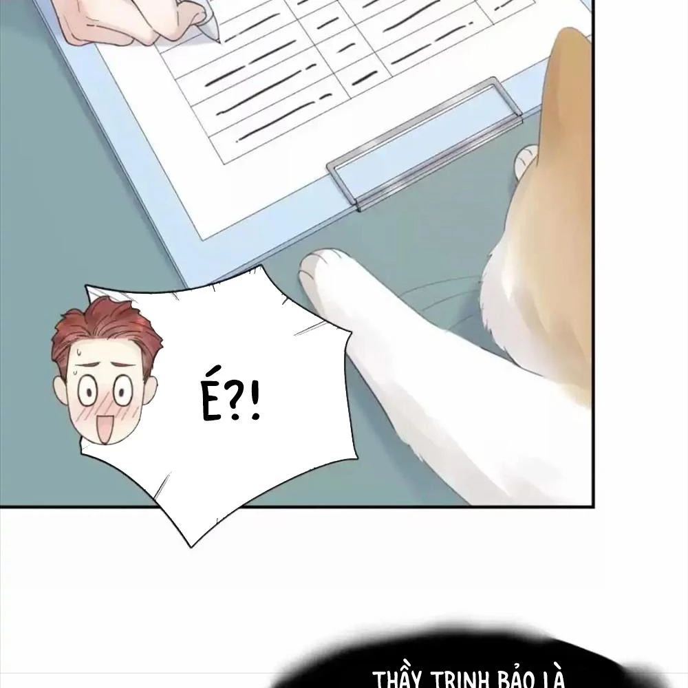 Giờ nay cô ấy cũng rất dễ thương Chapter 87 - 64