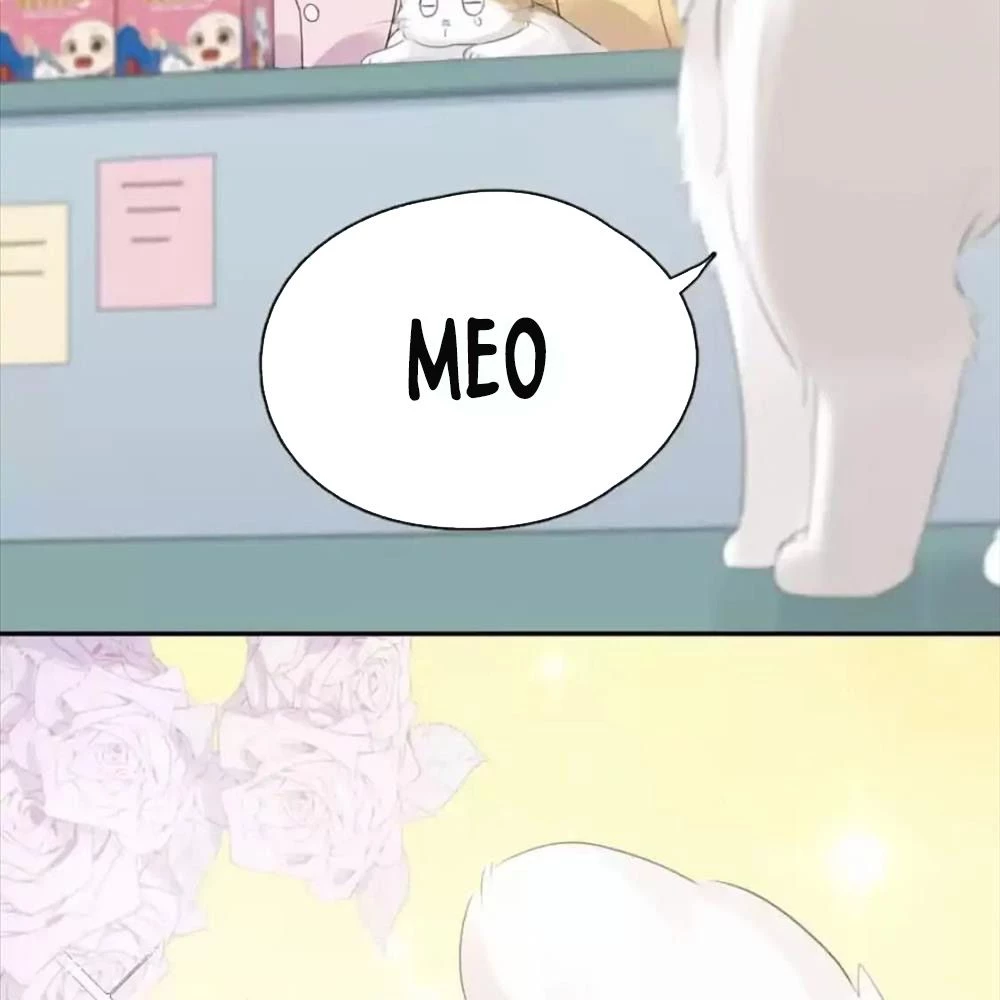 Giờ nay cô ấy cũng rất dễ thương Chapter 87 - 69