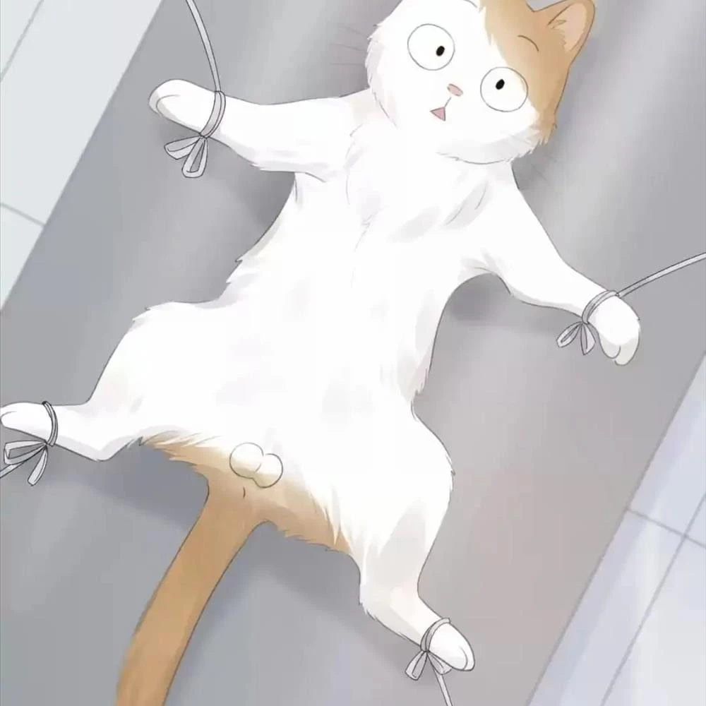 Giờ nay cô ấy cũng rất dễ thương Chapter 87 - 75