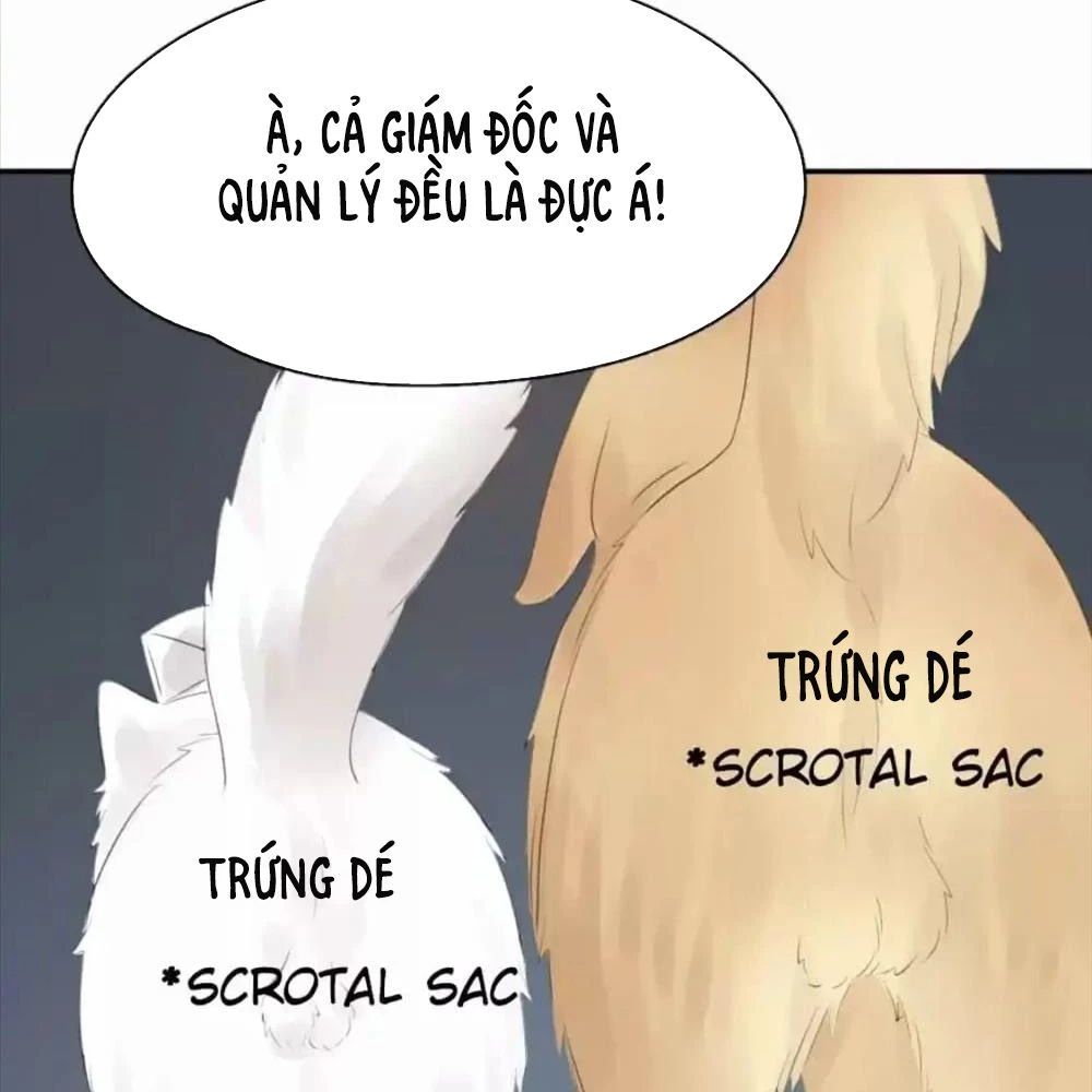 Giờ nay cô ấy cũng rất dễ thương Chapter 87 - 78