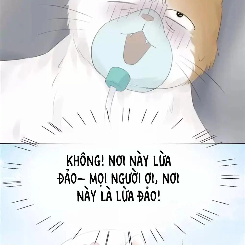 Giờ nay cô ấy cũng rất dễ thương Chapter 87 - 80