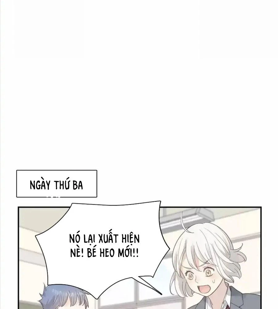 Giờ nay cô ấy cũng rất dễ thương Chapter 96 - 70