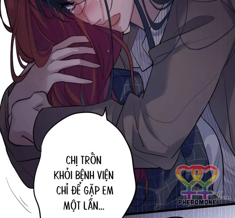 Lá Bài Định Mệnh Chapter 13 - 20