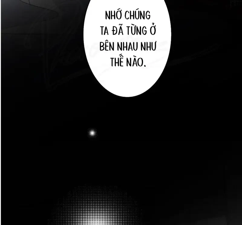 Lá Bài Định Mệnh Chapter 16 - 20