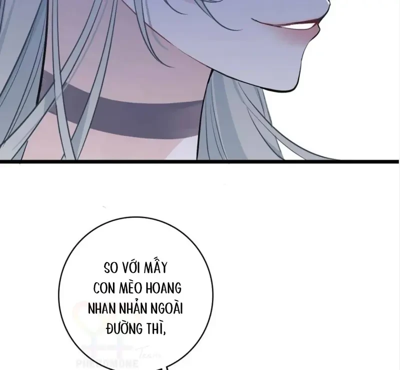 Lá Bài Định Mệnh Chapter 17 - 54