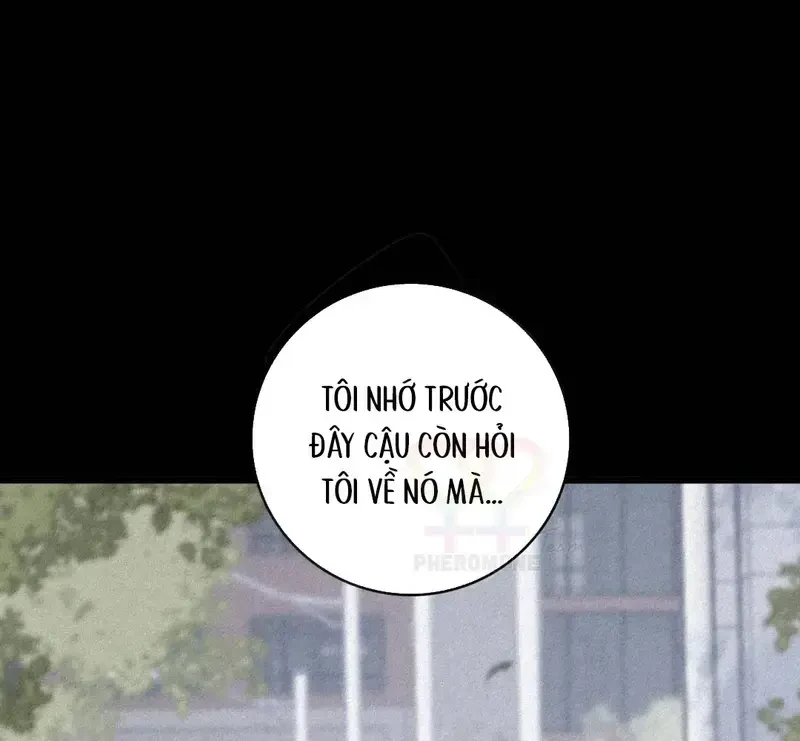 Lá Bài Định Mệnh Chapter 21 - 30