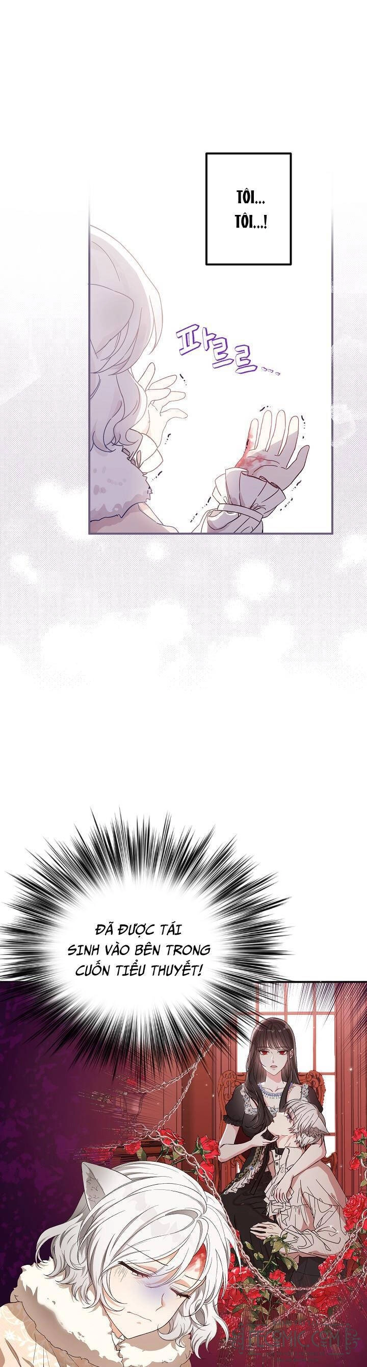 Nữ Chính Muốn Tôi Trở Thành Chị Dâu Của Cô Ấy Chapter 1 - 25