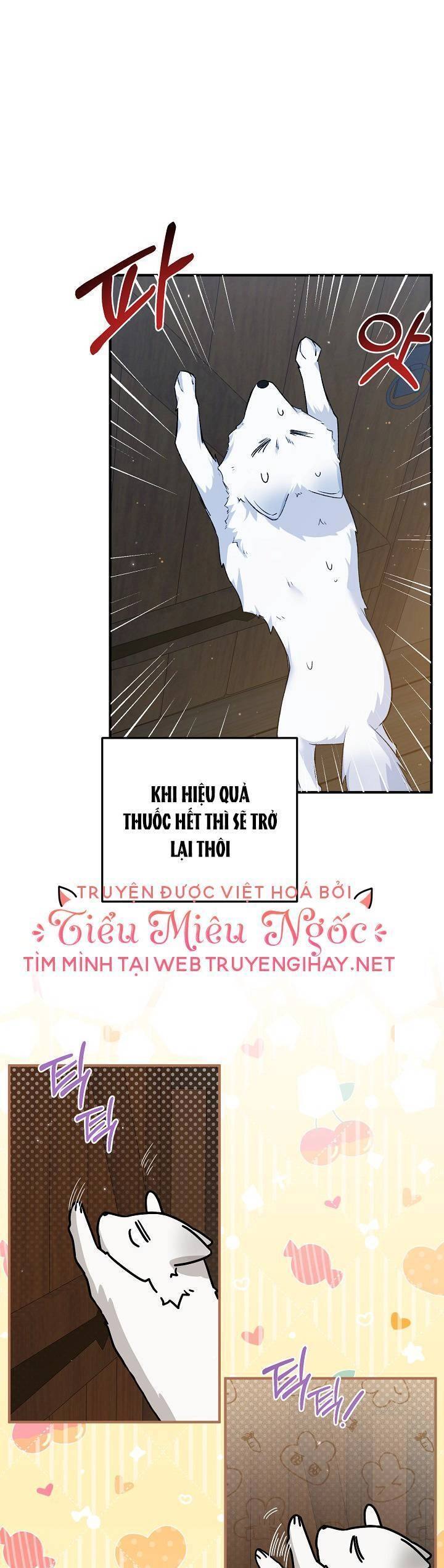 Nữ Chính Muốn Tôi Trở Thành Chị Dâu Của Cô Ấy Chapter 20 - 17