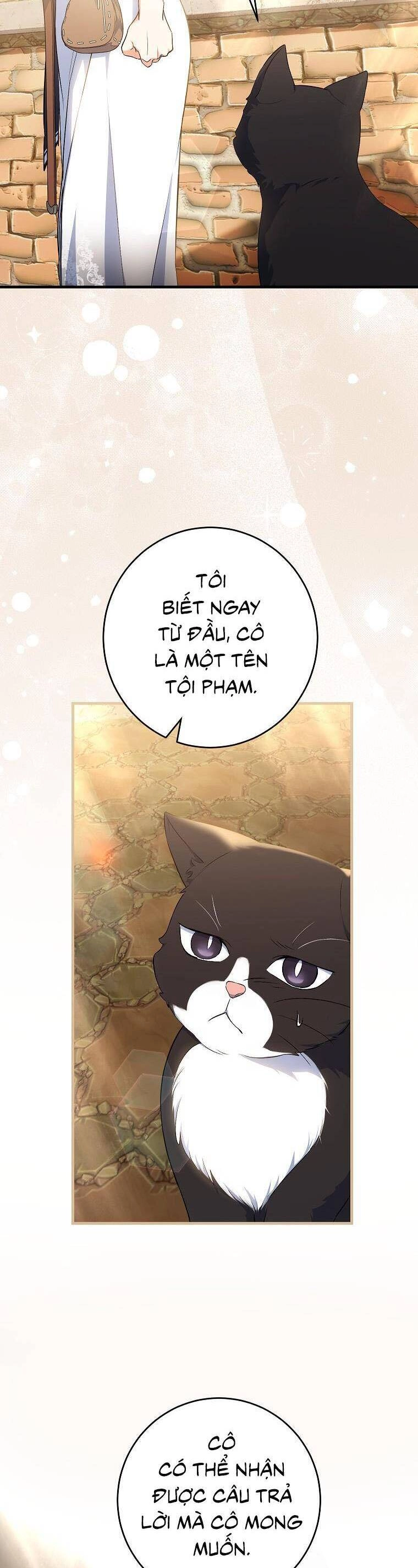 Nữ Chính Muốn Tôi Trở Thành Chị Dâu Của Cô Ấy Chapter 47 - 47