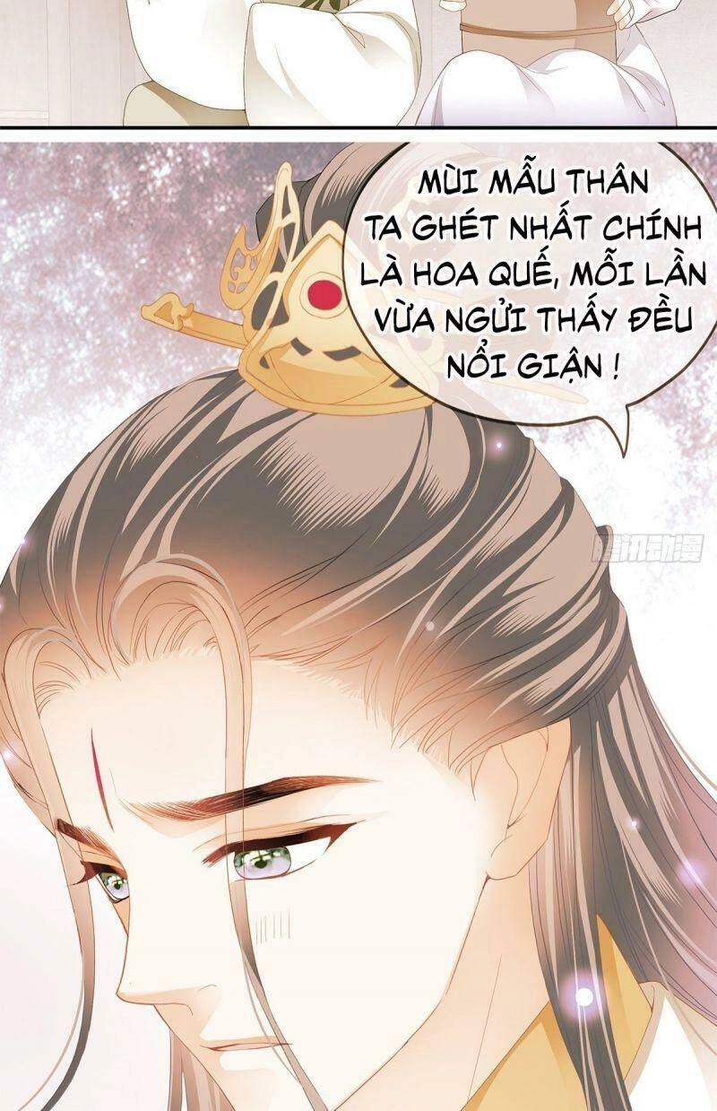 Bổn Vương Muốn Ngươi Chapter 17 - 25